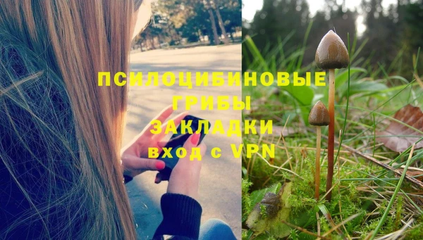 МДПВ Вязьма