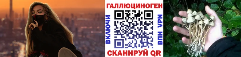 Псилоцибиновые грибы Magic Shrooms  Петухово 